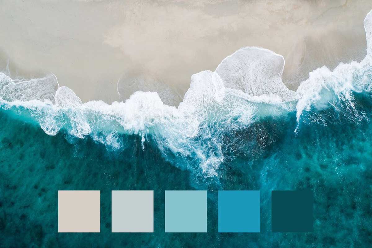 color-pallete