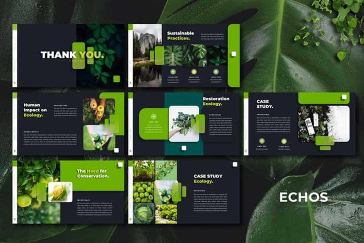 corporate-presentations